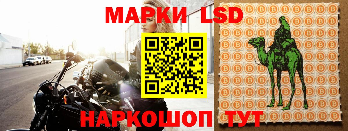 блэк спрут ссылки  Вход с VPN  Амурск  LSD-25 экстази кислота 