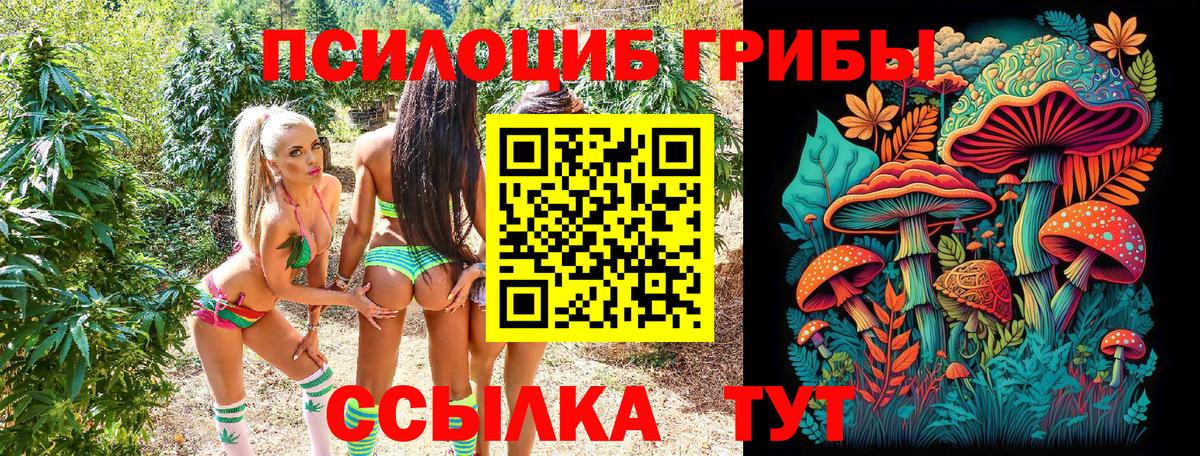 Галлюциногенные грибы ЛСД Амурск