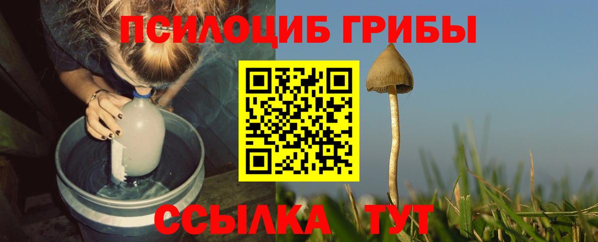 Галлюциногенные грибы мицелий  Псилоцибиновые грибы прущие грибы  Вход с VPN  Амурск 
